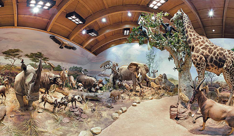 Museo Fauna Salvaje Valdehuesa
